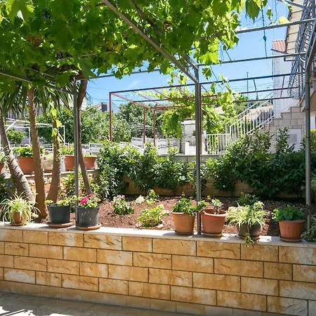 Double 5658d Супетар